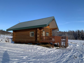 The Chena Valley Cabin, perfect for aurora viewing
